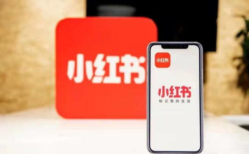杭州噫融網絡 以專業運營驅動小紅書種草推廣，助力計算機軟硬件品牌搶占市場先機